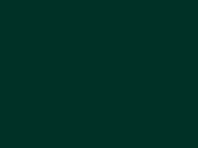 Матовая акриловая краска Oikos Extrapaint (Экстрапаинт) в цвете ID3185