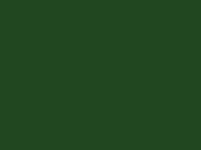Матовая акриловая краска Oikos Supercolor (Суперколор) в цвете IN311