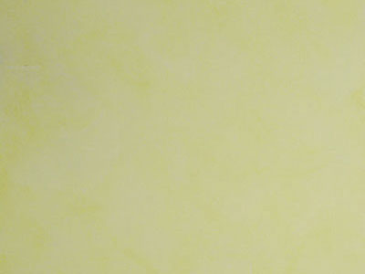 Матовая краска с акварельным эффектом Oikos Veldecor (Велдекор) в цвете VD1910