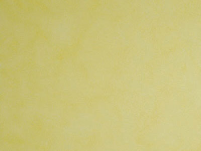 Матовая краска с акварельным эффектом Oikos Veldecor (Велдекор) в цвете VD2410