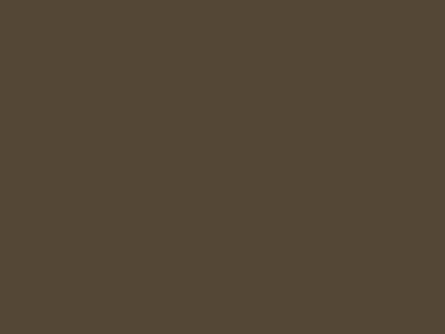 Матовая краска Goldshell Finch Pro (Финч Про) в цвете 119