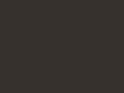 Матовая краска Goldshell Finch Pro (Финч Про) в цвете 135C