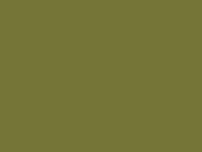 Матовая краска Goldshell Finch Pro (Финч Про) в цвете 306C