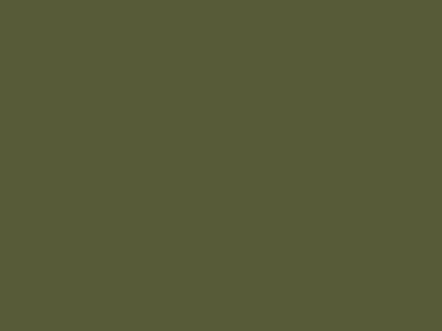 Матовая краска Goldshell Finch Pro (Финч Про) в цвете 307C