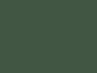 Матовая краска Goldshell Finch Pro (Финч Про) в цвете 314C