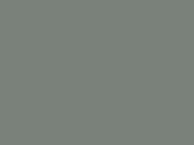 Матовая краска Goldshell Finch Pro (Финч Про) в цвете 616