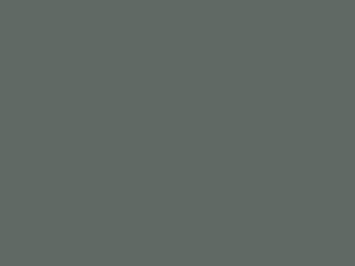 Матовая краска Goldshell Finch Pro (Финч Про) в цвете 617
