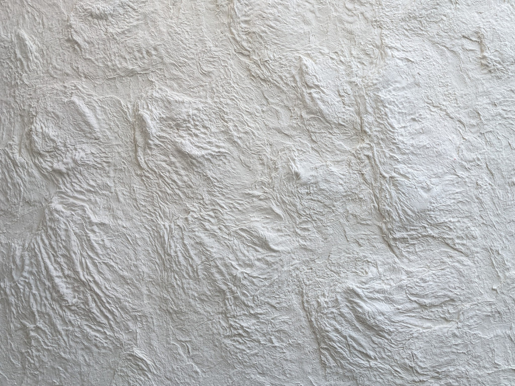 Фактурная штукатурка с волокнистым наполнителем Goldshell Рустик. Фактурное нанесение в белом цвете