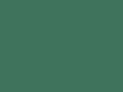 Колеруемый акриловый грунт Oikos Blankor (Бланкор) в цвете ED2455