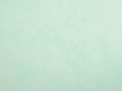 Матовая винил-акриловая краска Oikos Drywall Paint (Драйволл Пейнт) в цвете TL194