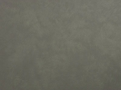 Elastrong Venezia Fine (Эластронг Венеция Файн) в цвете TL261 - эластичная фасадная штукатурка от Oikos