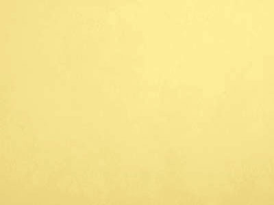 Elastrong Venezia Fine (Эластронг Венеция Файн) в цвете TL283 - эластичная фасадная штукатурка от Oikos