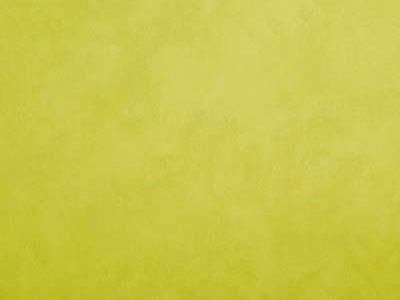 Elastrong Venezia Fine (Эластронг Венеция Файн) в цвете TL291 - эластичная фасадная штукатурка от Oikos