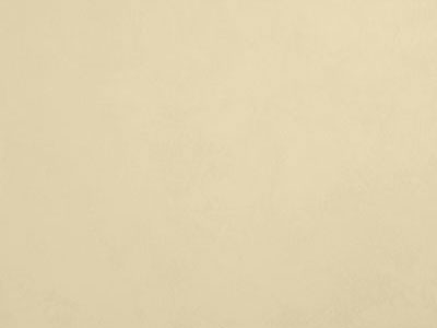 Elastrong Venezia Fine (Эластронг Венеция Файн) в цвете TL423 - эластичная фасадная штукатурка от Oikos