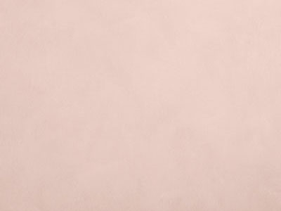 Elastrong Venezia Fine (Эластронг Венеция Файн) в цвете TL744 - эластичная фасадная штукатурка от Oikos