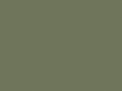 Матовая акриловая краска Oikos Extrapaint (Экстрапаинт) в цвете B705