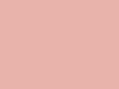 Матовая акриловая краска Oikos Extrapaint (Экстрапаинт) в цвете N1238