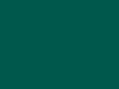 Матовая акриловая краска Oikos Extrapaint (Экстрапаинт) в цвете N2348