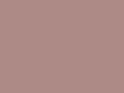 Матовая акриловая краска Oikos Extrapaint (Экстрапаинт) в цвете N3198