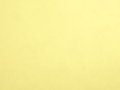 Duaflex 7 TL812