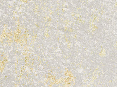 Матовая краска с белыми и золотыми флоками Oikos Nevada (Невада) в цвете NE1034
