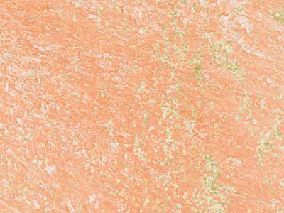 Матовая краска с белыми и золотыми флоками Oikos Nevada (Невада) в цвете NE1714