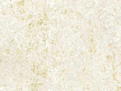 Матовая краска с белыми и золотыми флоками Oikos Nevada (Невада) в цвете NE2244