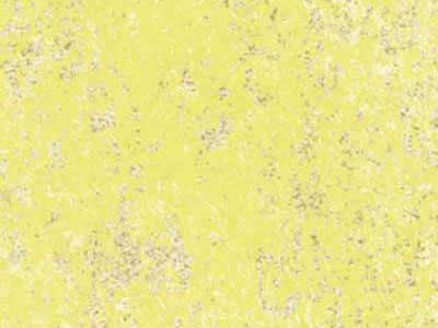 Матовая краска с белыми и золотыми флоками Oikos Nevada (Невада) в цвете NE2704