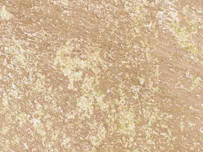 Матовая краска с белыми и золотыми флоками Oikos Nevada (Невада) в цвете NE3014
