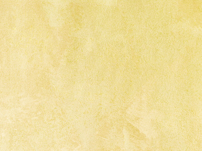 Ottocento AN855 Ottocento AN855