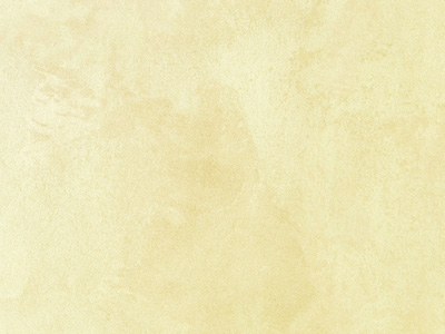 Перламутровая краска с эффектом шёлка Oikos Ottocento (Отточенто) в цвете AN903