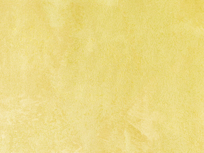 Ottocento Antico Velluto (Отточенто Антико Велютто) в цвете AN907 - перламутровая краска с эффектом шёлка от Oikos