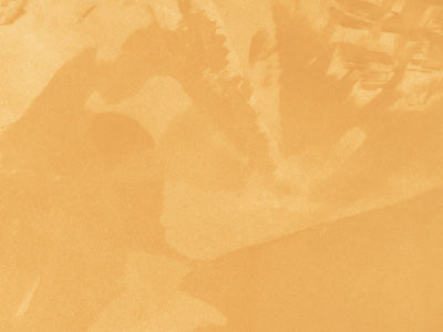 Перламутровая краска с эффектом шёлка Oikos Ottocento (Отточенто) в цвете AN916