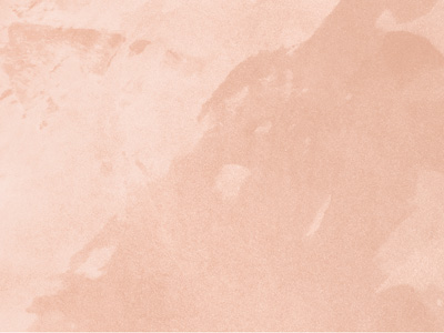 Перламутровая краска с эффектом шёлка Oikos Ottocento (Отточенто) в цвете AN923
