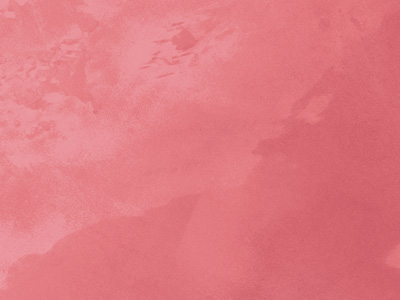 Перламутровая краска с эффектом шёлка Oikos Ottocento (Отточенто) в цвете AN951