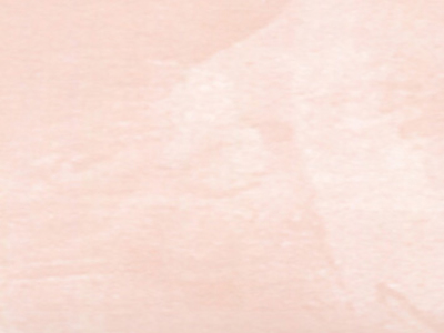 Raffaello Decor Stucco R0520