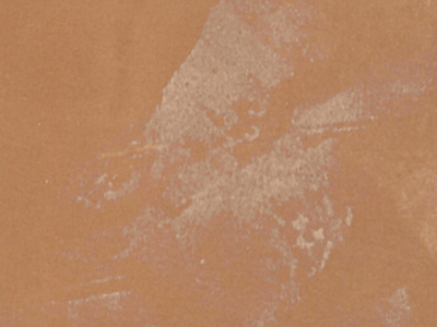 Raffaello Decor Stucco R11