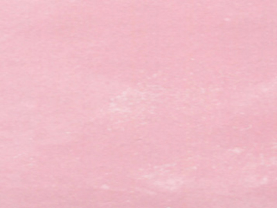 Raffaello Decor Stucco R1520