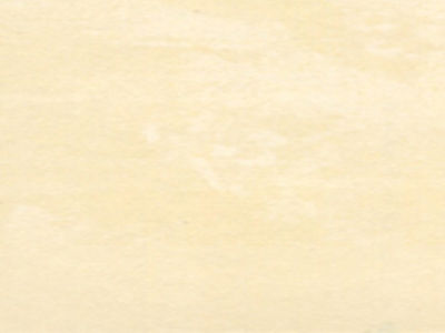 Raffaello Decor Stucco R2340
