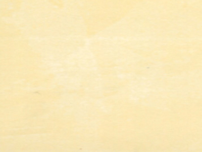 Raffaello Decor Stucco R2720