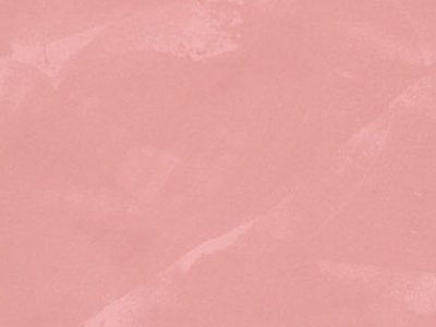 Raffaello Decor Stucco R282