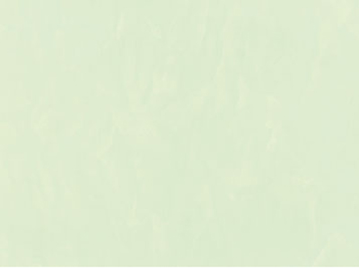 Raffaello Decor Stucco R456