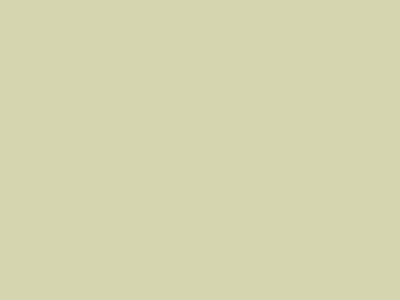 Матовая акриловая краска Oikos Supercolor (Суперколор) в цвете N3638