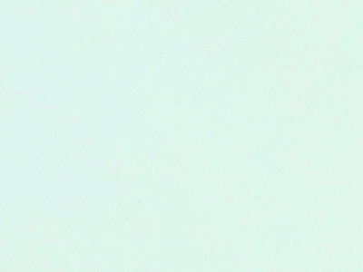 Фактурная штукатурка с мраморным наполнителем Oikos Tiepolo Gessato (Тьеполо Гессато) в цвете CG-111-A