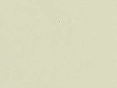 Фактурная штукатурка с мраморным наполнителем Oikos Tiepolo Gessato (Тьеполо Гессато) в цвете CG-603-A