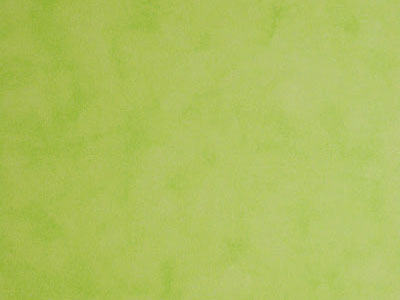 Матовая краска с акварельным эффектом Oikos Veldecor (Велдекор) в цвете VD1800