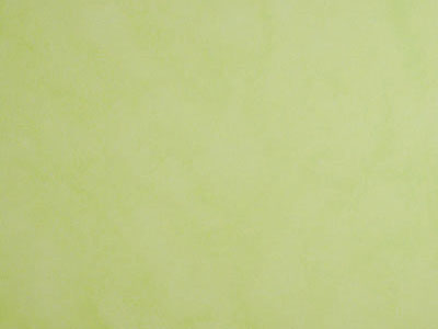 Матовая краска с акварельным эффектом Oikos Veldecor (Велдекор) в цвете VD1810