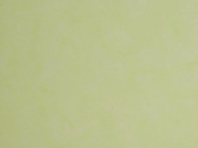 Матовая краска с акварельным эффектом Oikos Veldecor (Велдекор) в цвете VD1820