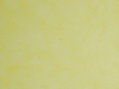 Матовая краска с акварельным эффектом Oikos Veldecor (Велдекор) в цвете VD1900