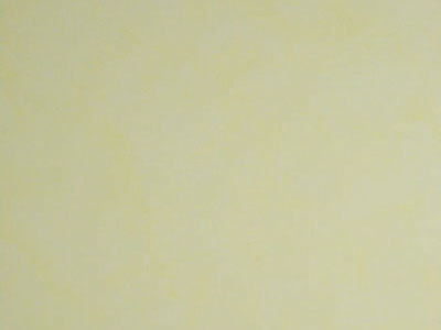 Матовая краска с акварельным эффектом Oikos Veldecor (Велдекор) в цвете VD1920